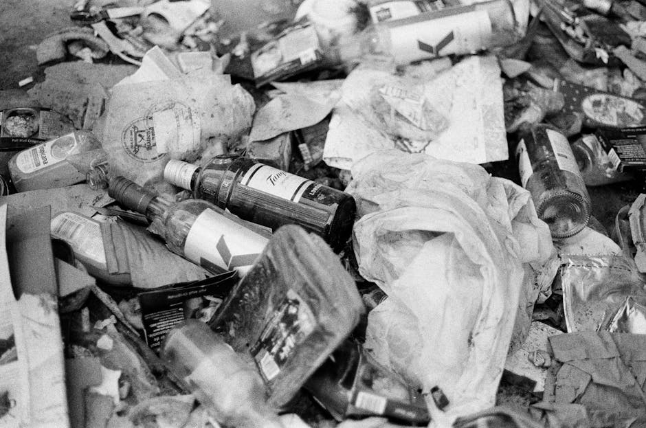 Westminster Council rubbish disposal rules for Maida Vale