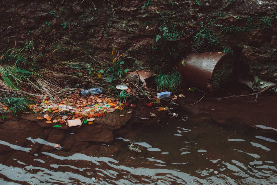 What to know about rubbish access issues in Maida Vale flats